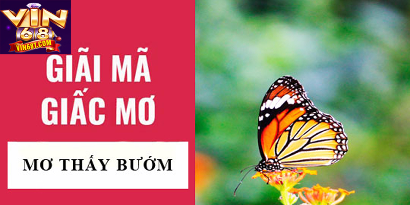 Mơ thấy bướm đánh số nào chuẩn xác để dễ trúng thưởng hơn
